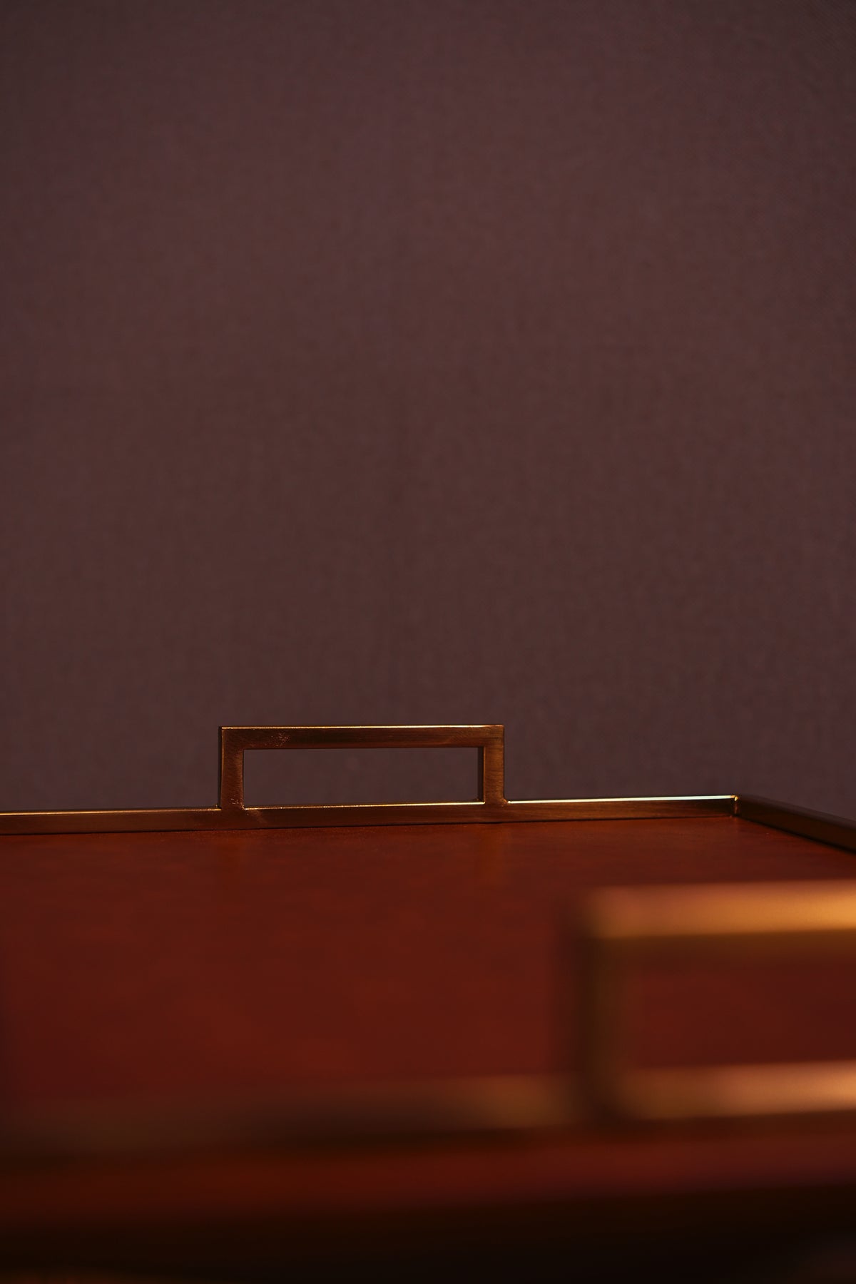 Brown Leather Tray