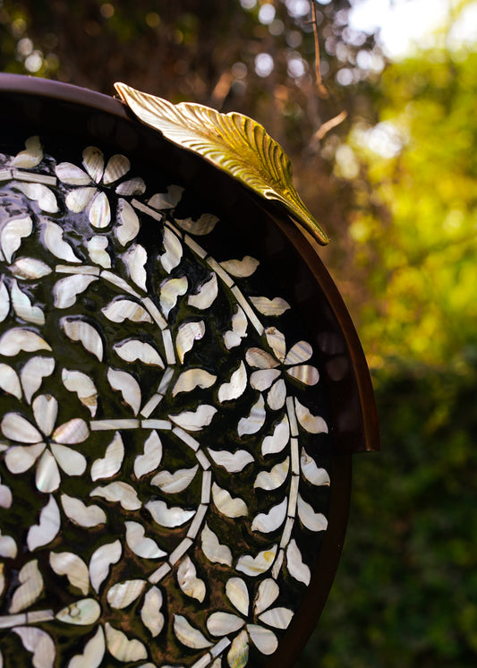 Shesham Black Mother of Pearl