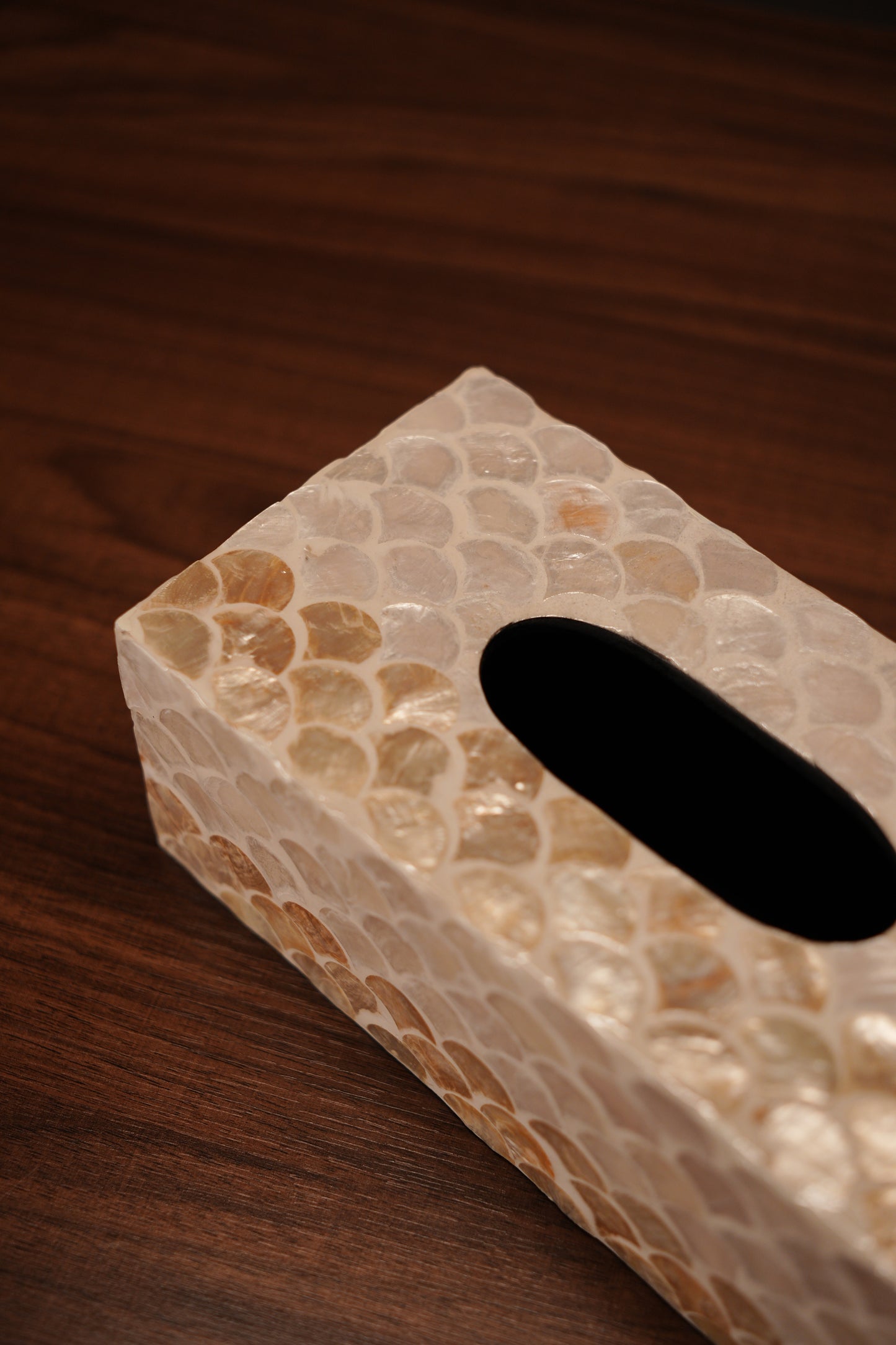 Belmont Tissue Box