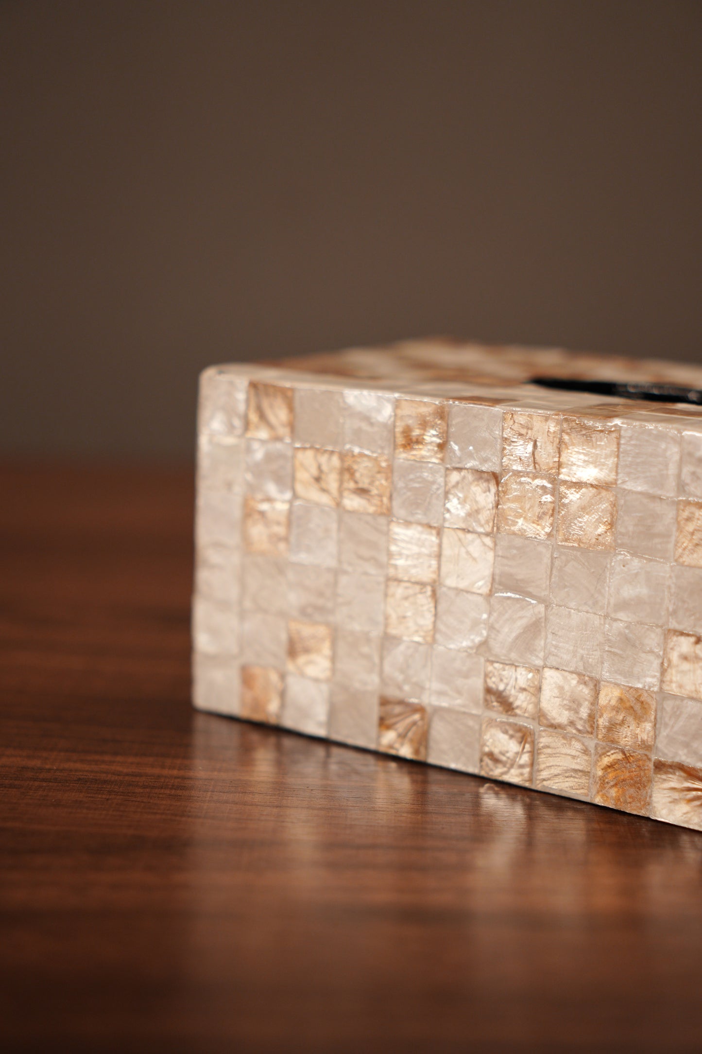 Lumi Tissue Box