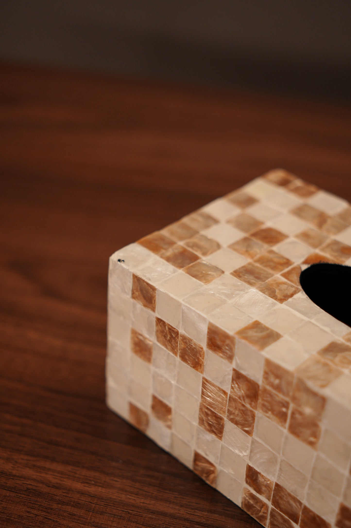 Lumi Tissue Box