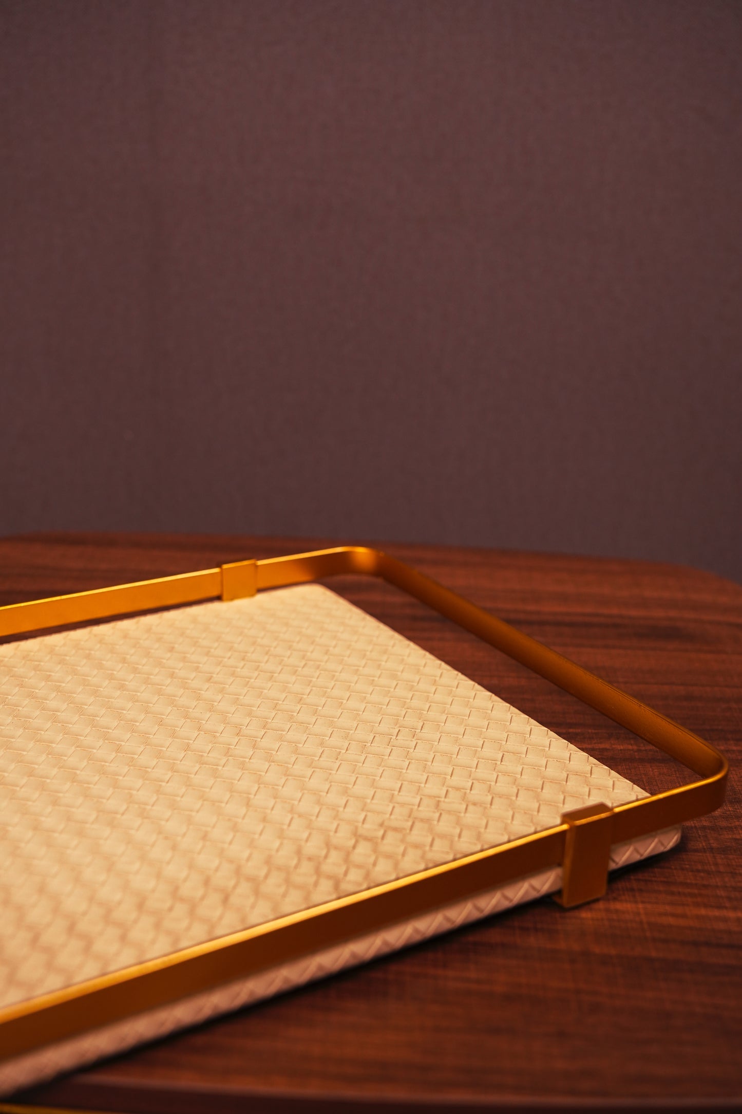 Leather Knot Tray