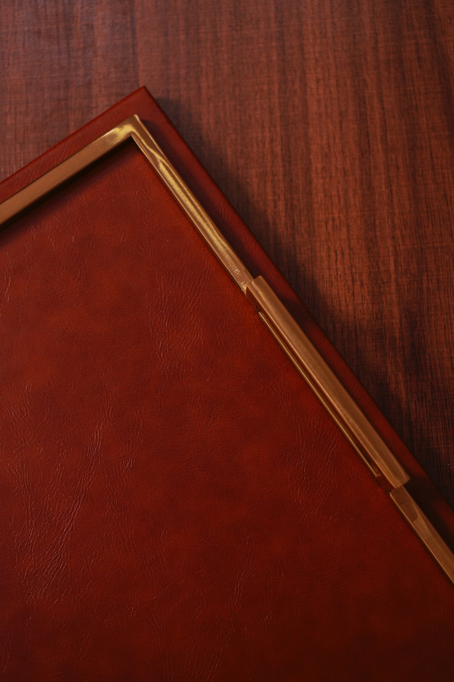 Brown Leather Tray