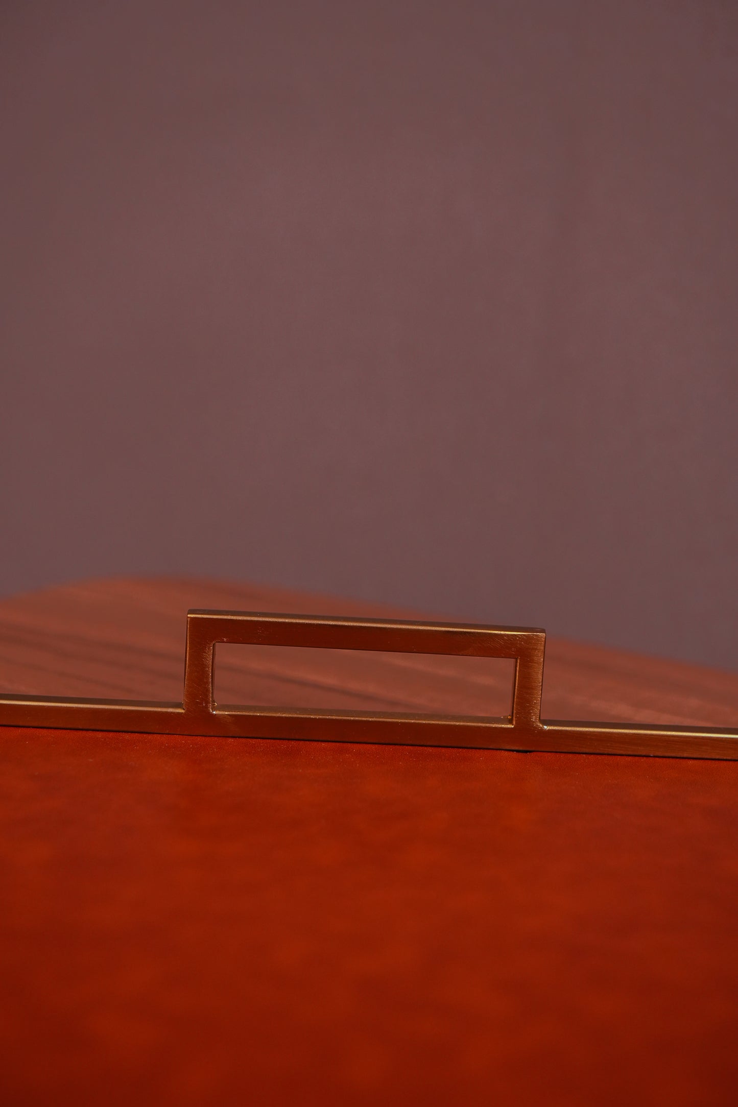 Brown Leather Tray