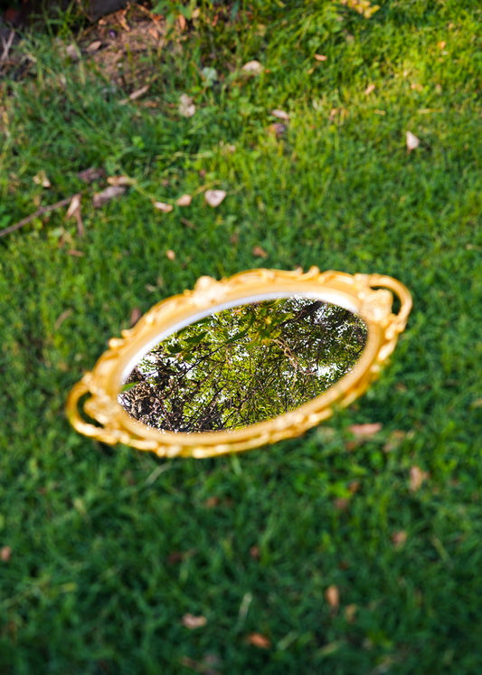 Sandwich Platter