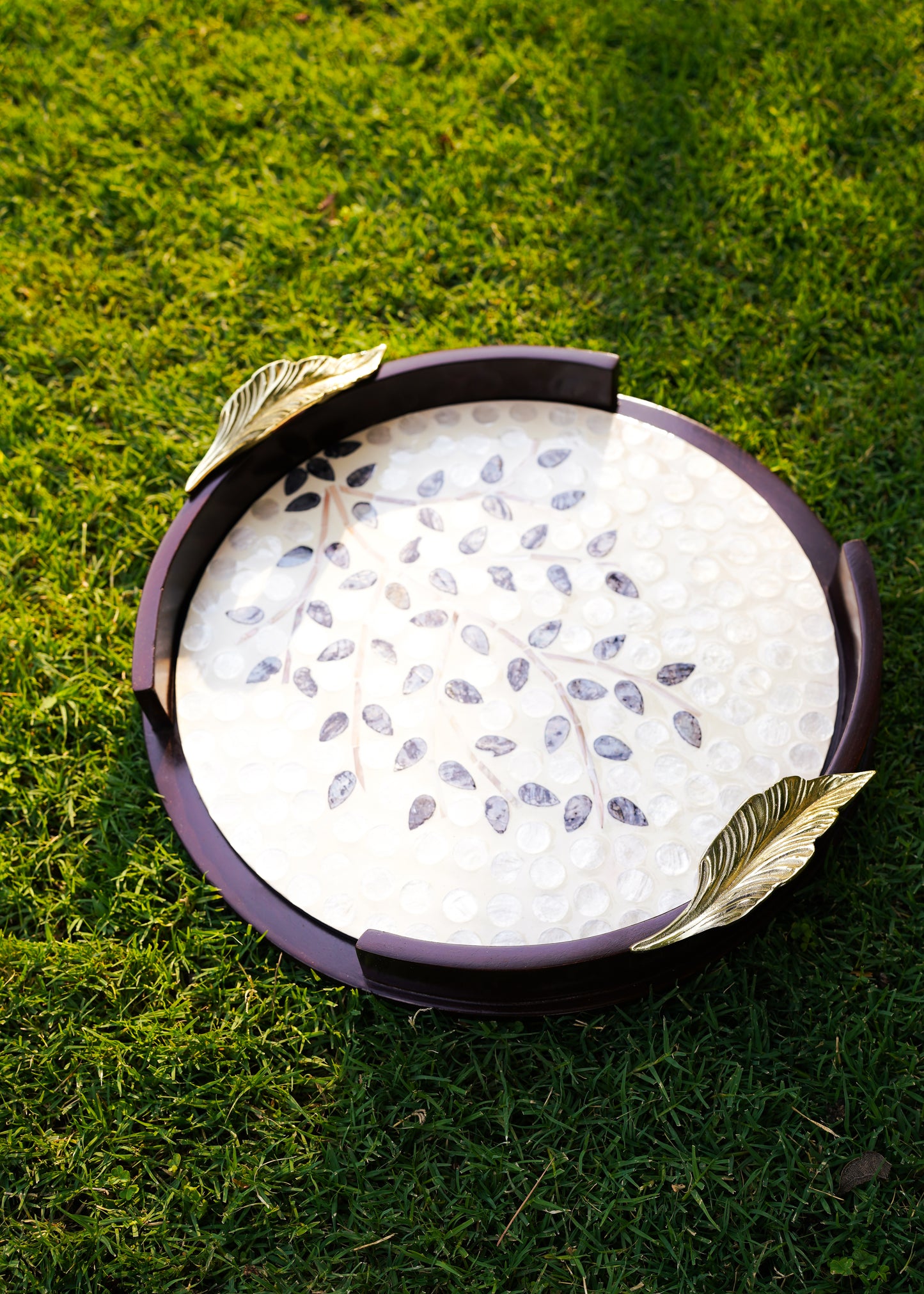 Sheesham Mother of Pearl Tree Tray