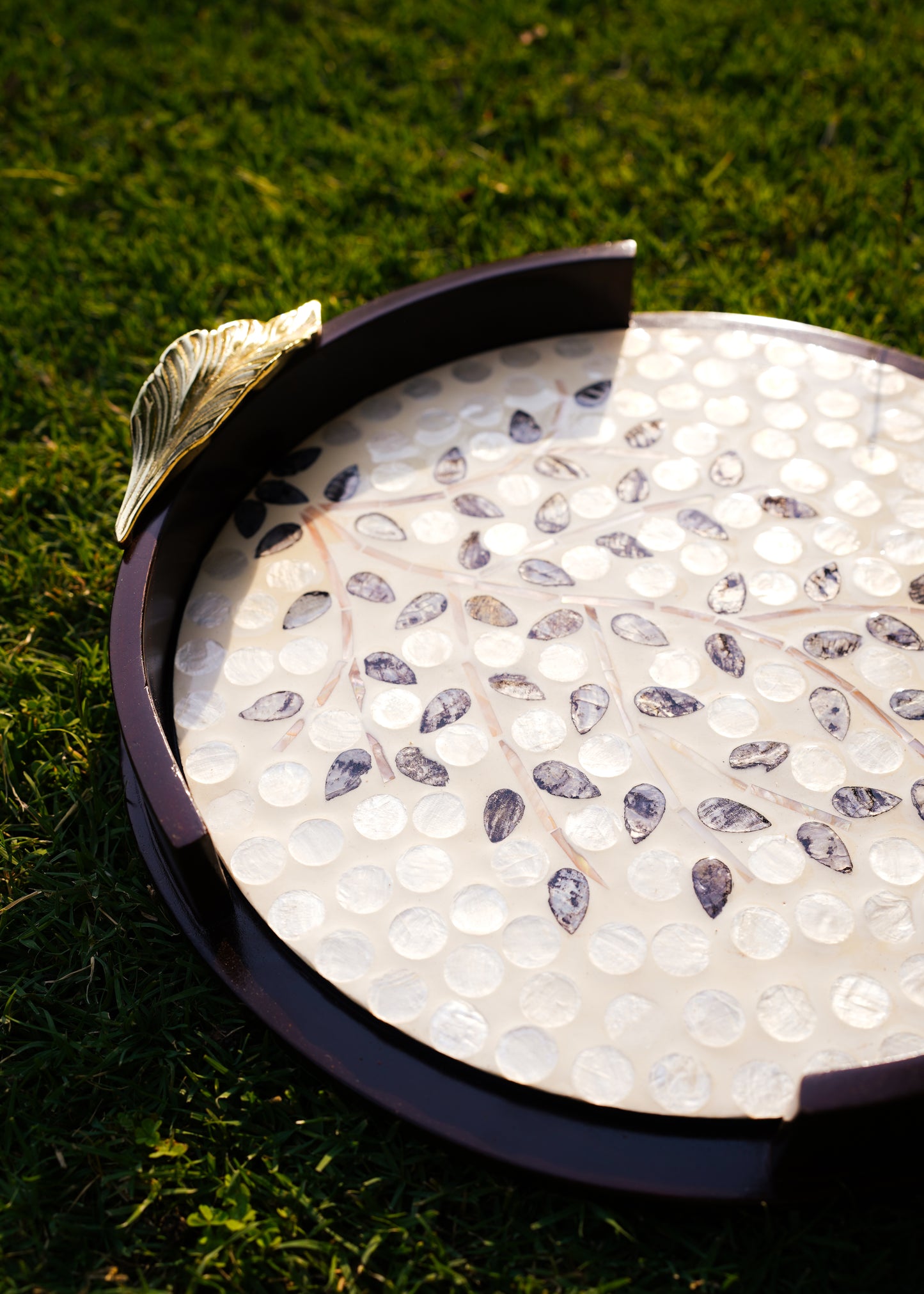 Sheesham Mother of Pearl Tree Tray
